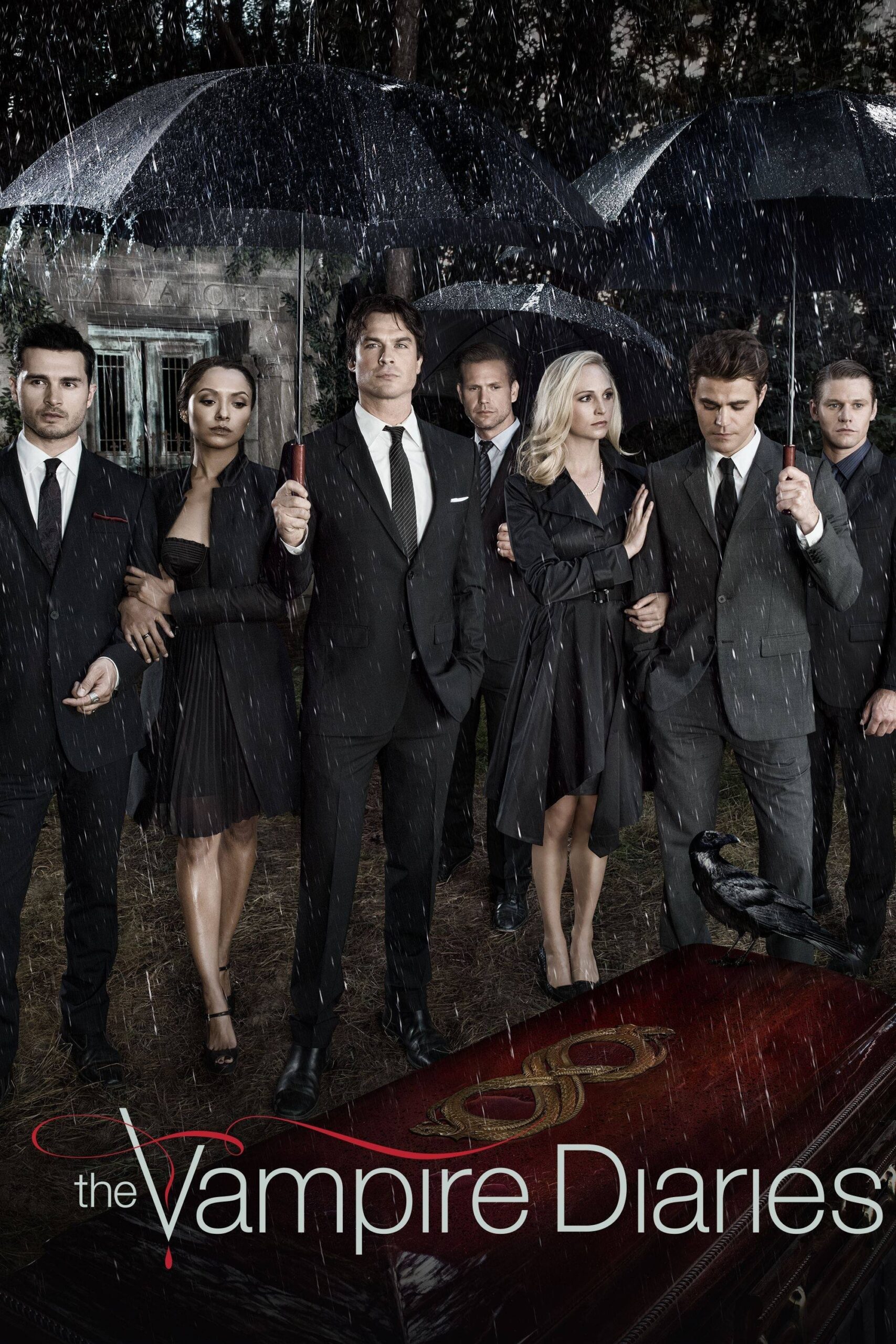 Official poster for the TV series The Vampire Diaries – Season 8 (2016).