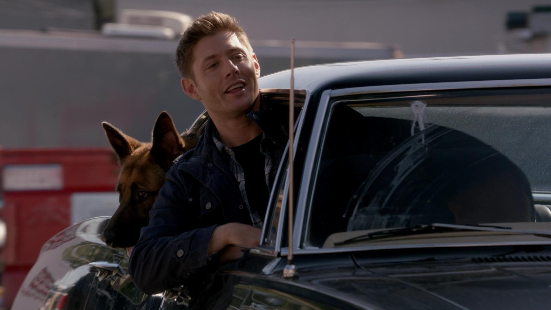 Official poster for the TV series Supernatural – S9E5: “Dog Dean Afternoon”.