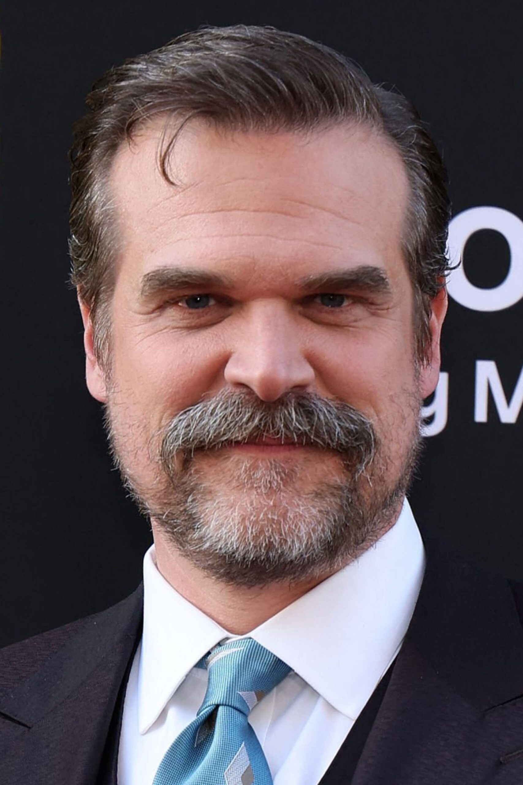 Official headshot photo of person: David Harbour.